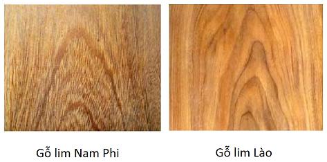 Phân biệt gỗ lim Nam Phi và gỗ lim Lào