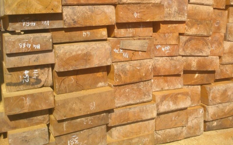 Cách nhận biết gỗ dổi thật