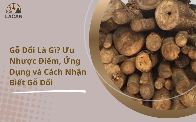 gỗ dổi là gì