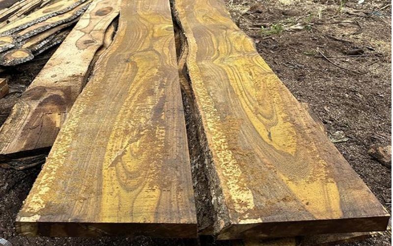Giá gỗ muồng vàng hiện nay