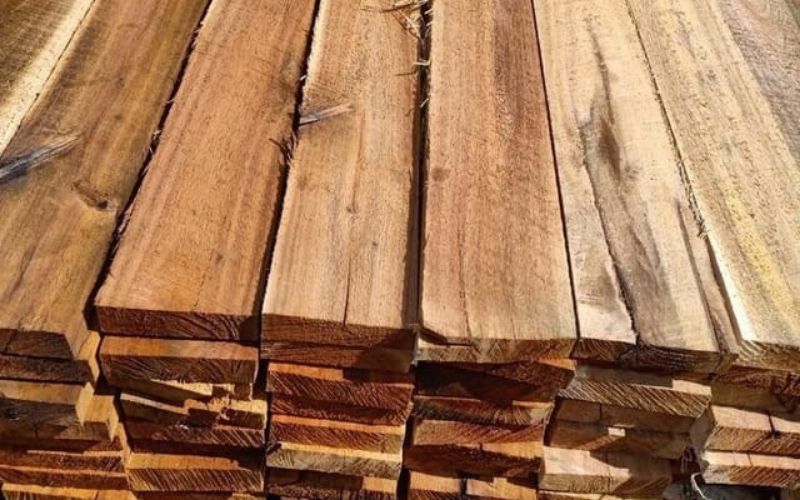 giới thiệu về gỗ keo