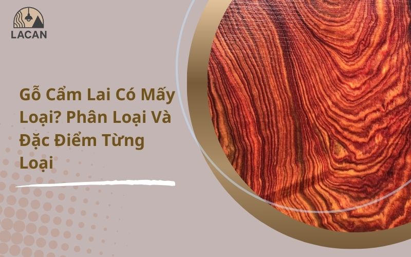 gỗ cẩm lai có mấy loại