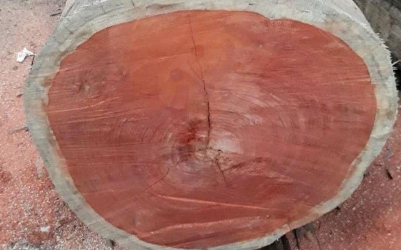 Gỗ hương thuộc nhóm mấy?