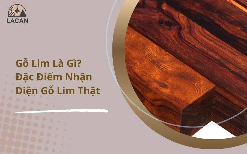 gỗ lim là gì