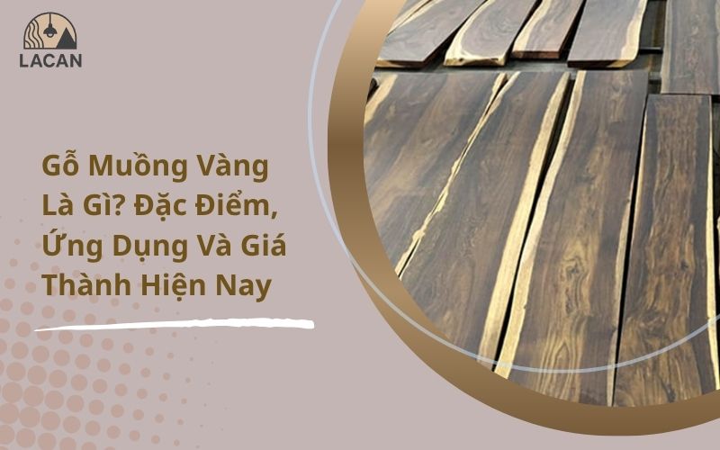 gỗ muồng vàng
