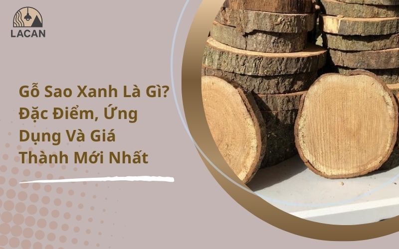 gỗ sao xanh