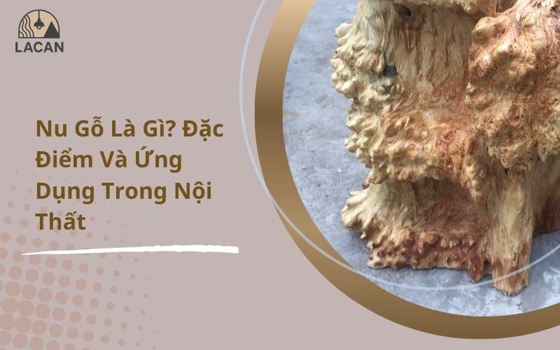 nu gỗ là gì