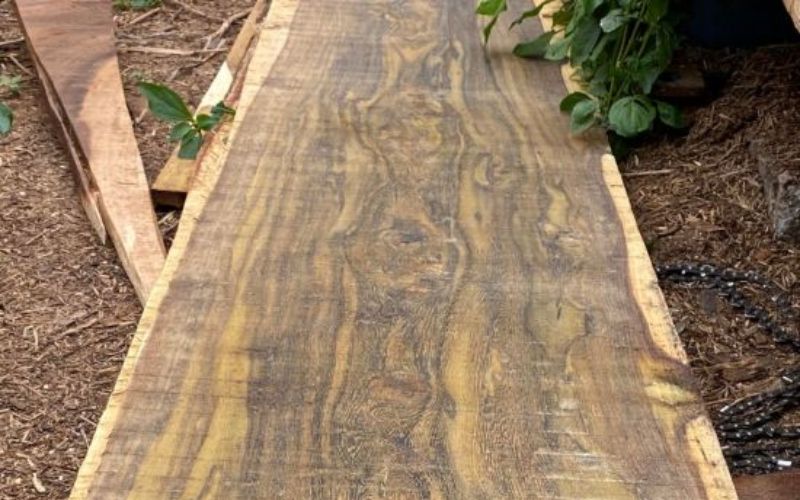 Cách phân biệt gỗ muồng vàng