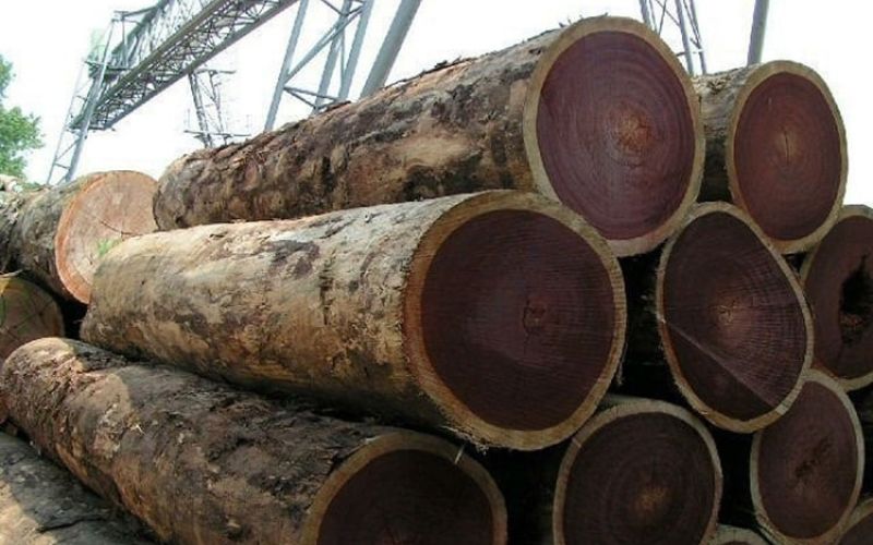 Ưu nhược điểm của gỗ lim