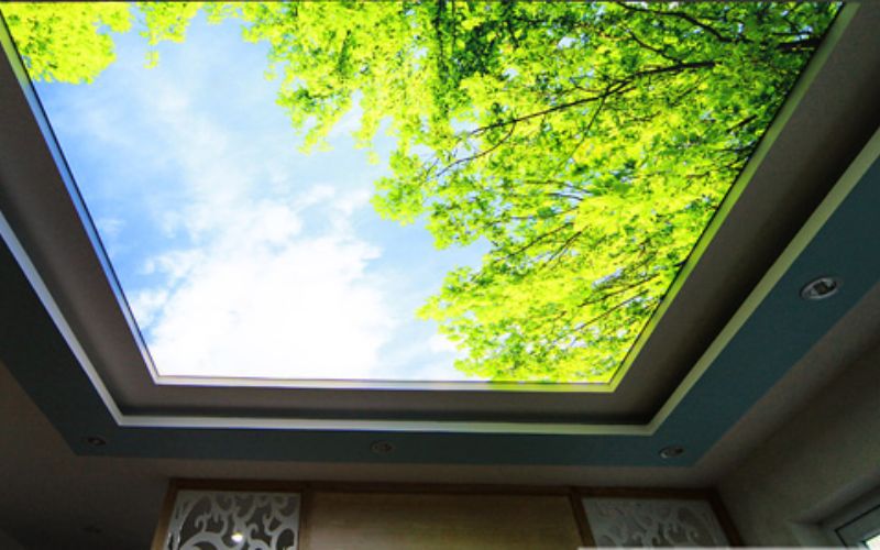 Trần xuyên sáng hoặc trần 3D