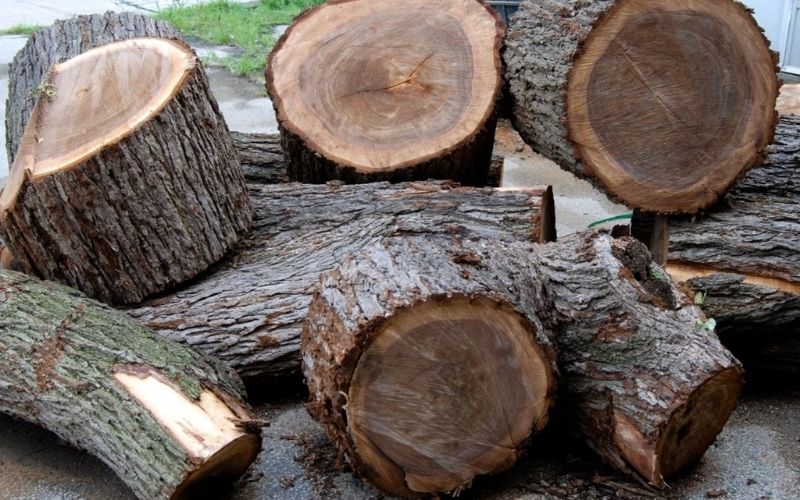 Giới thiệu về gỗ óc chó