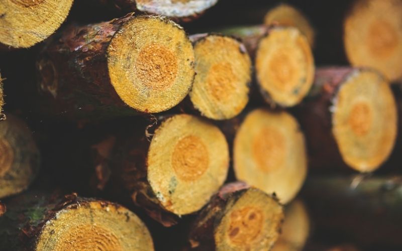 vật liệu gỗ tự nhiên