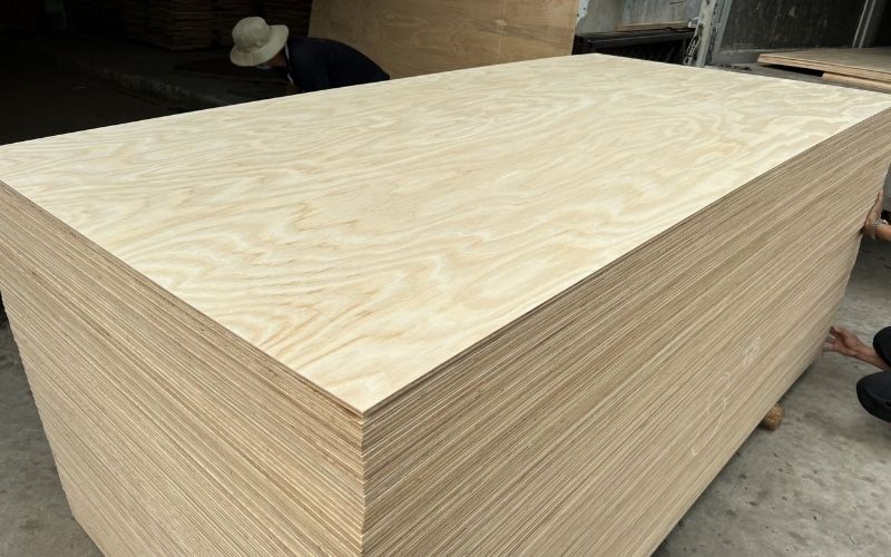 Plywood gỗ bạch dương